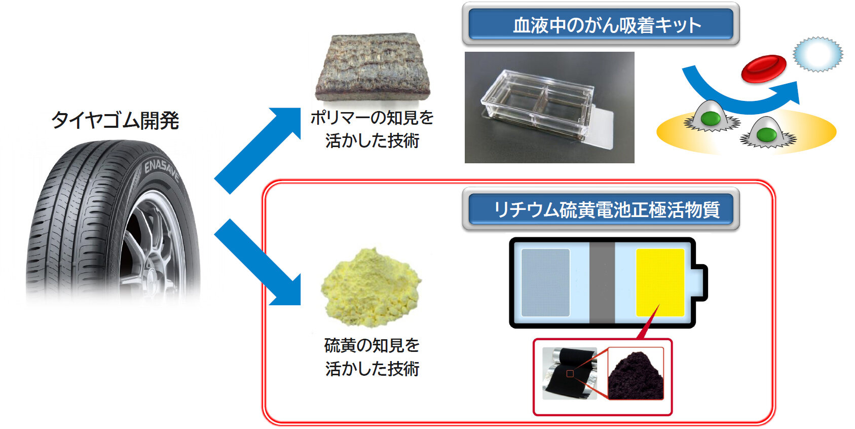 新たな分野